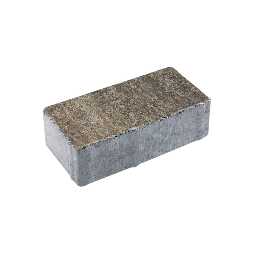 Тротуарная плитка ПРЯМОУГОЛЬНИК 200x100 мм - Листопад гранит Старый замок