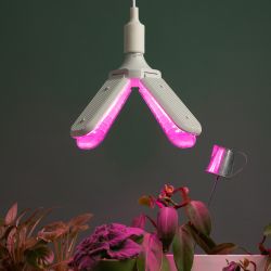 Фитолампа для растений светодиодная ЭРА GREEN LINE ФИТО-40W-PL-E27-GR 4-х лепестковая красно-синего спектра 40 Вт Е27 | Фитолампы Е27