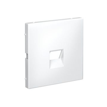 Накладка информационная ArtGallery типа Keystone бел. SE GAL000184