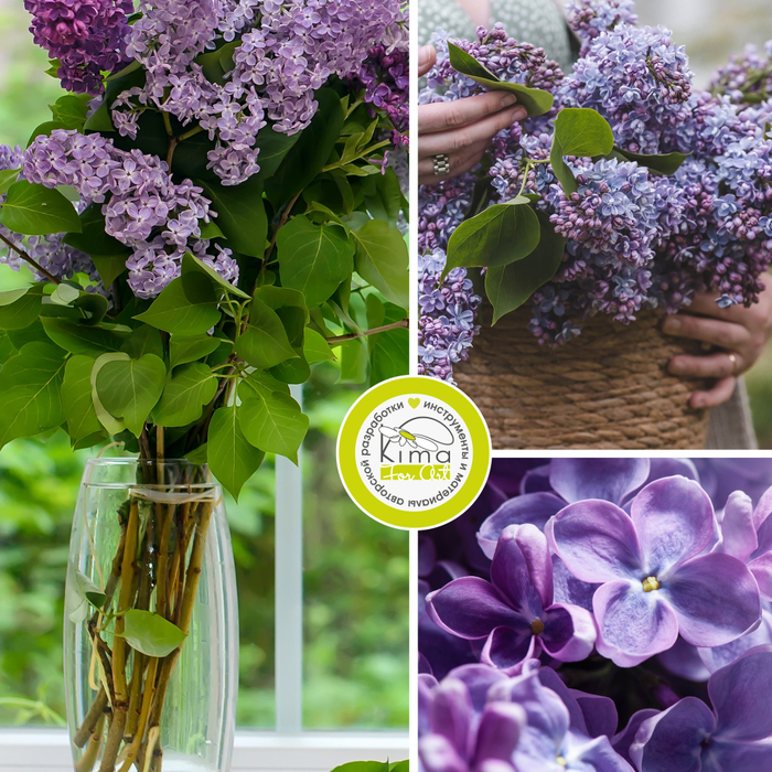 KimaClay полимерная глина | набор «Сирень» 5 упаковок по 100g