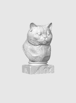 Британская Короткошерстная Кошка