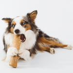 Petstages игрушка для собак Dogwood палочка деревянная 20 см большая