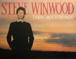 Steve Winwood / Talking Back To The Night (LP)