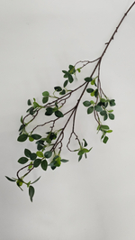 Ветка колючки / Арт 3055