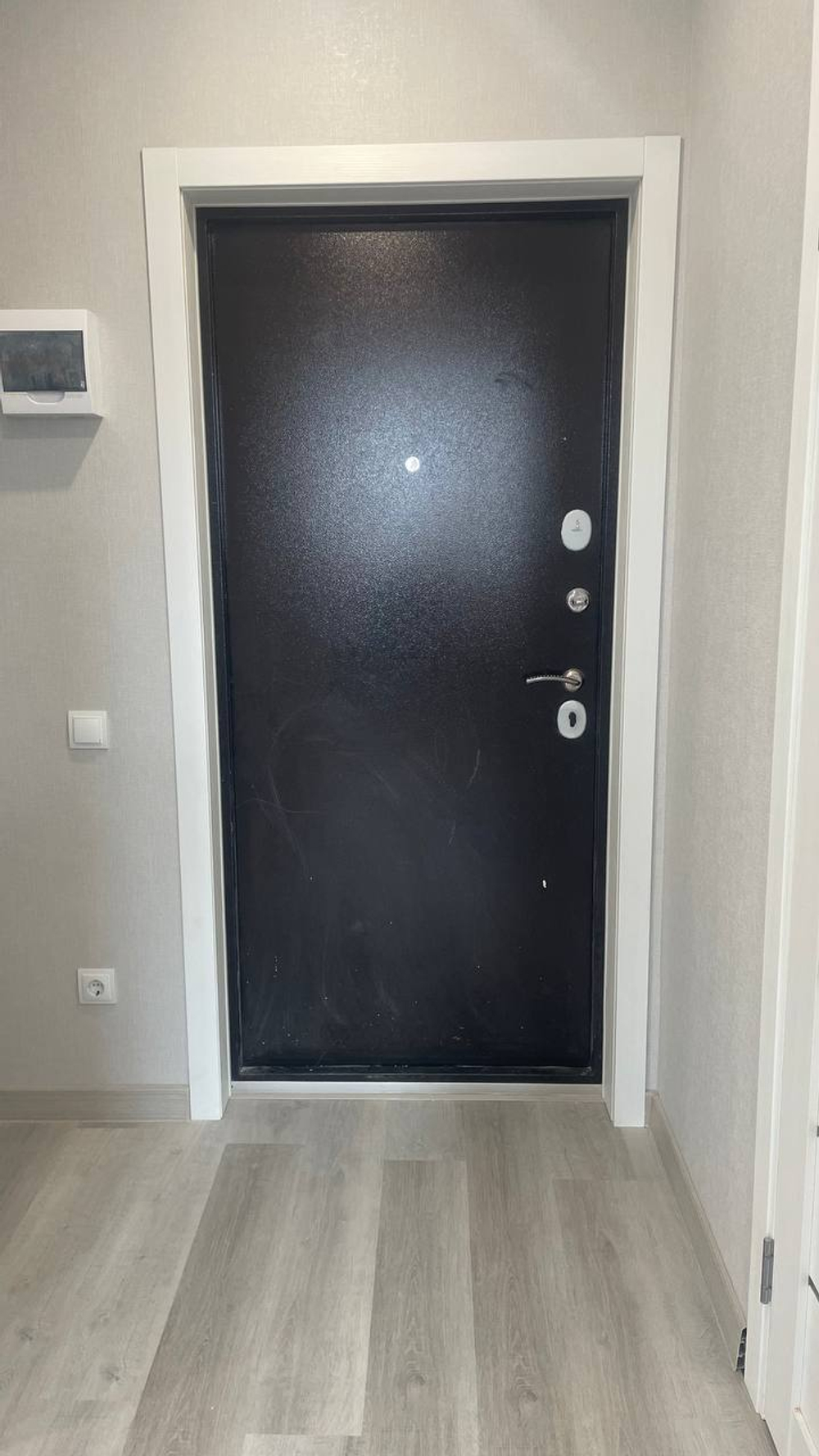 Дверь входная для частного дома с белой накладкой