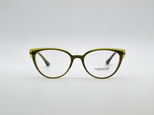 Изг. оправы PARADISE 48118 C5