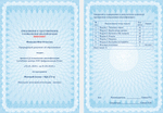 Microsoft Access + SQL
