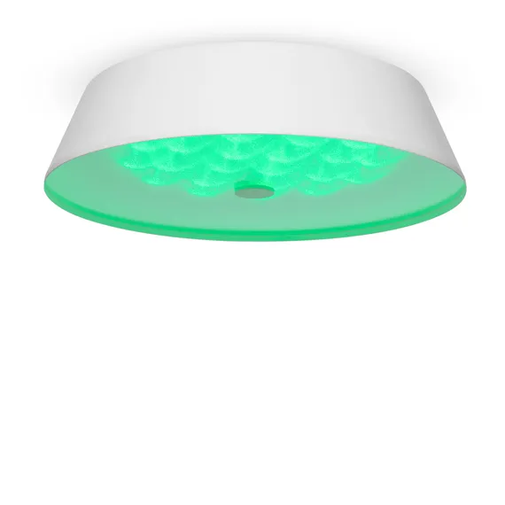 Потолочный светильник FR10013CL-L24W Элементы 24 Вт LED Freya fr10013cl-l24w