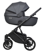 Детская коляска Riko Basic Montana Ecco 2 в 1 24 Graphite