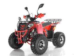 Квадроцикл RAPTOR Madman 200