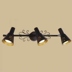 Citilux Дункан CL529531 Спот поворотный Коричневый