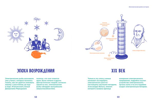 Электрические рыбы