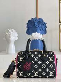 Louis Vuitton Speedy 20