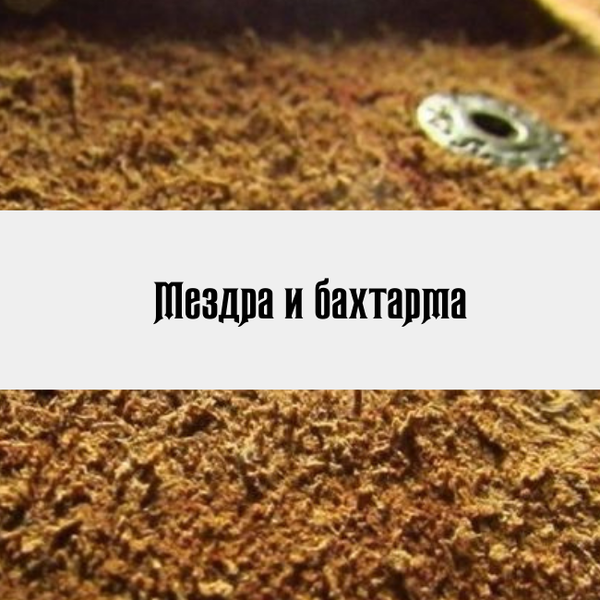 Мездра и Бахтарма