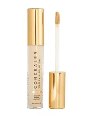 Устойчивый минеральный консилер