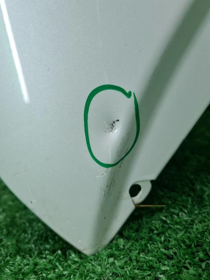 Капот Zeekr 001 (2021-н.в.)