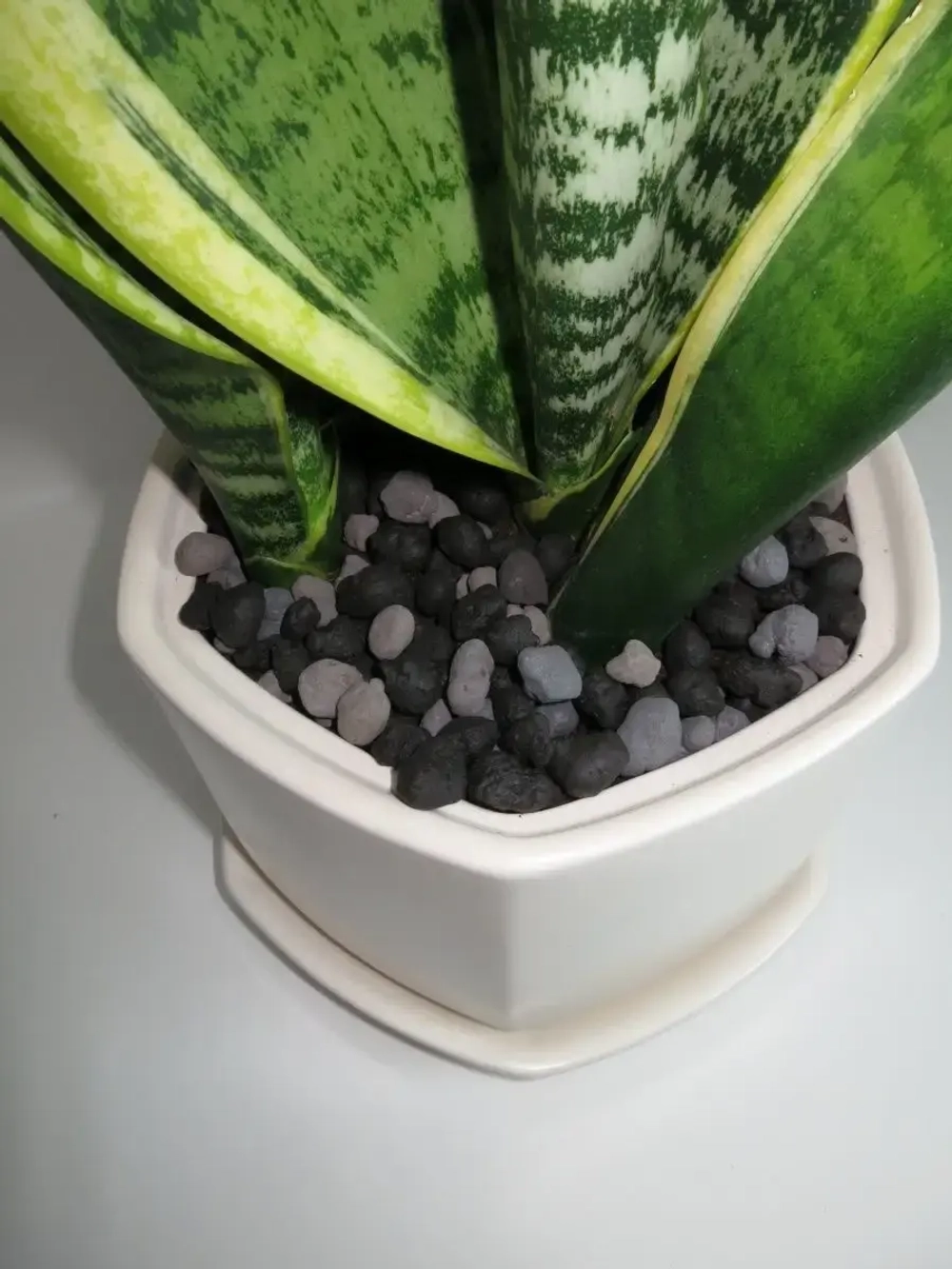 Дренаж для цветов и растений микс чёрный