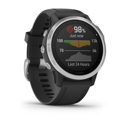 Умные спортивные часы Garmin FENIX 6S