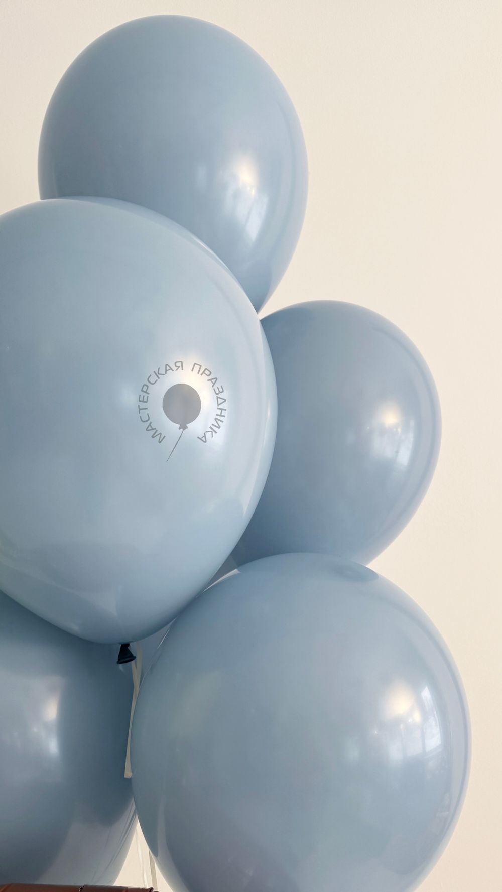 Воздушные шары Капибара для мальчика №9042  Изображение4