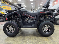 Квадроцикл PROMAX RENEGADE 280 LONG WINCH PRO (2025)