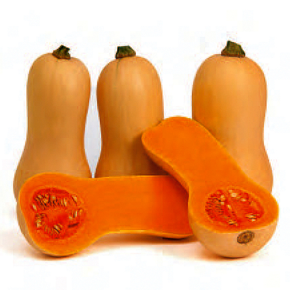 Миелуна F1 семена тыквы (Sakata / Саката) – фото 3