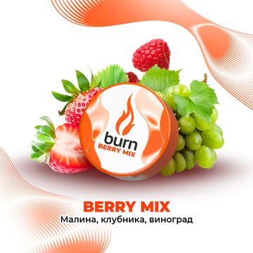 Burn (Berry Mix), 25 гр.