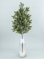 Ветка пихты