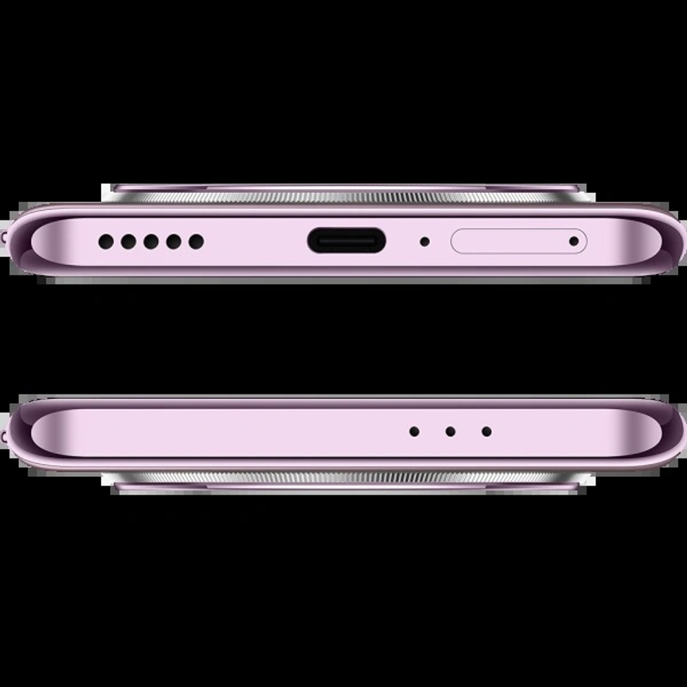 Смартфон Honor X9c 12/256Gb Titanium Purple (BRP-NX1)