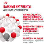 Royal Canin Maxi Adult Корм сухой для взрослых собак крупных размеров от 5 лет до 8 лет 15 кг