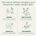 Traditional Medicinals, Organic Weightless, клюква, без кофеина, 16 чайных пакетиков, 24 г (0,85 унции)