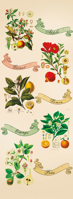 Коллекция Chinoiserie