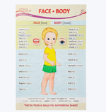 Плакат А3 Face. Body (Лицо. Тело)
