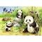 Puzzle Sweet Koalas and Pandas2  2x24 pcs