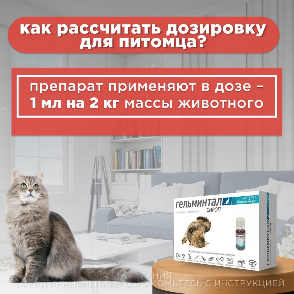 Сироп от гельминтов, профилактика дирофиляриоза для кошек более 4 кг Гельминтал (Neoterica), 5мл. Празиквантел/ Моксидектин