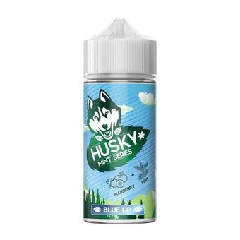 Жидкость HUSKY Mint Series Salt (20MG) 30 ml - Blue Up (Голубичный Сироп)