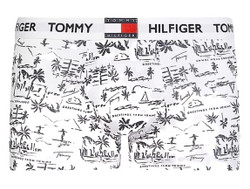 Мужские спортивные боксеры Tommy Hilfiger Trunk Print 1P - greetings white