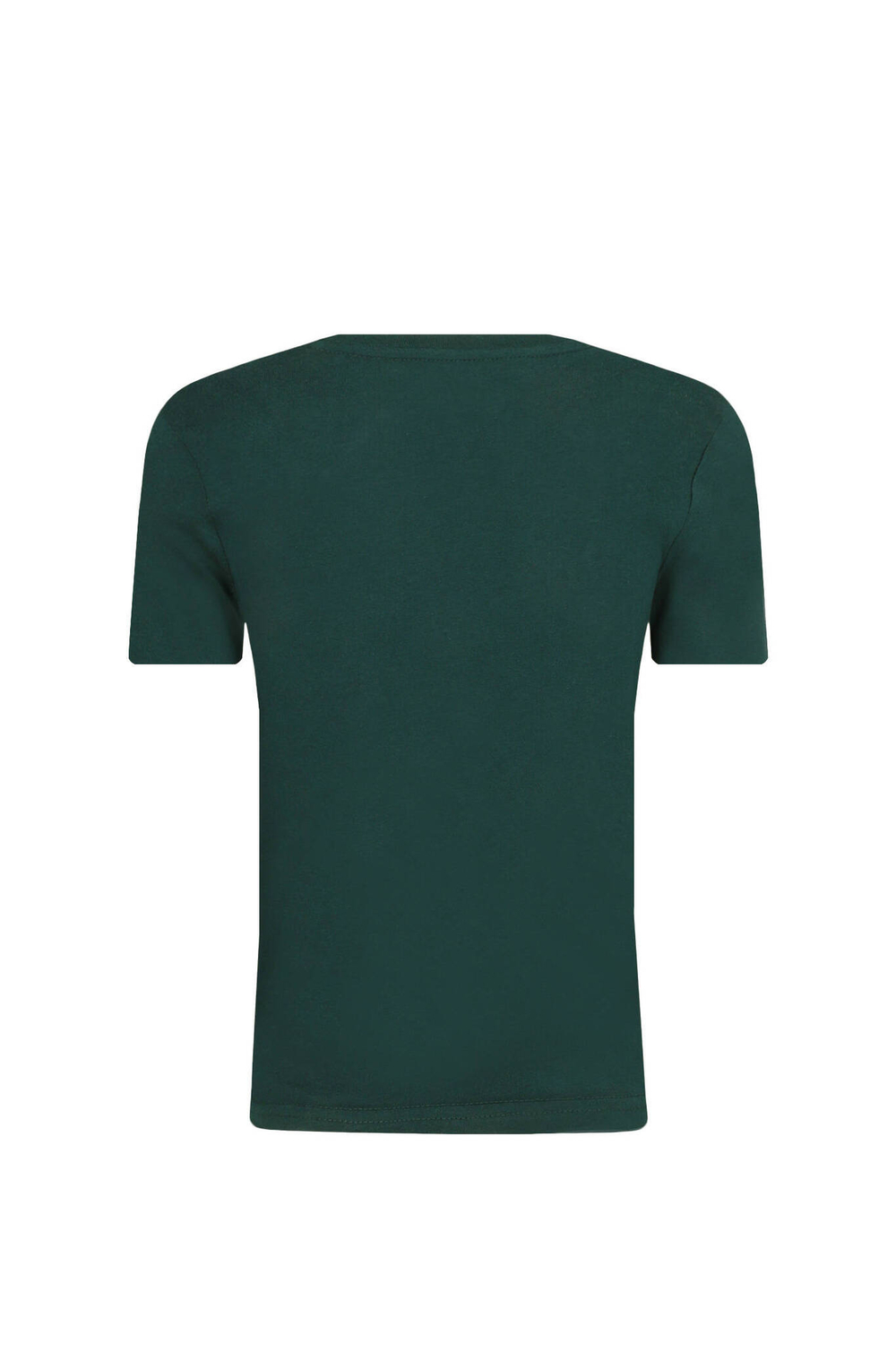 Футболка Guess - темно-зеленый(N4RI09 K8HM4)