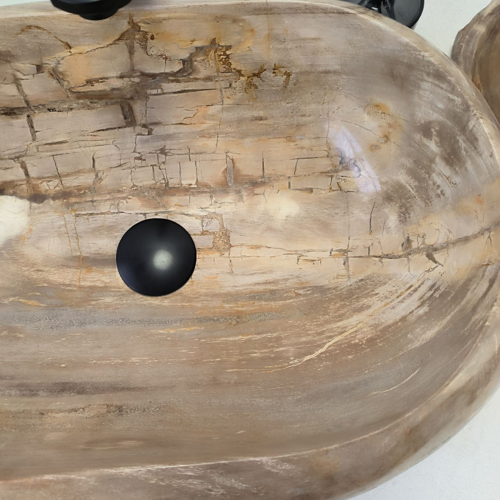 Раковина из окаменелого дерева Fossil Basin OD-02958 55*38*15 см