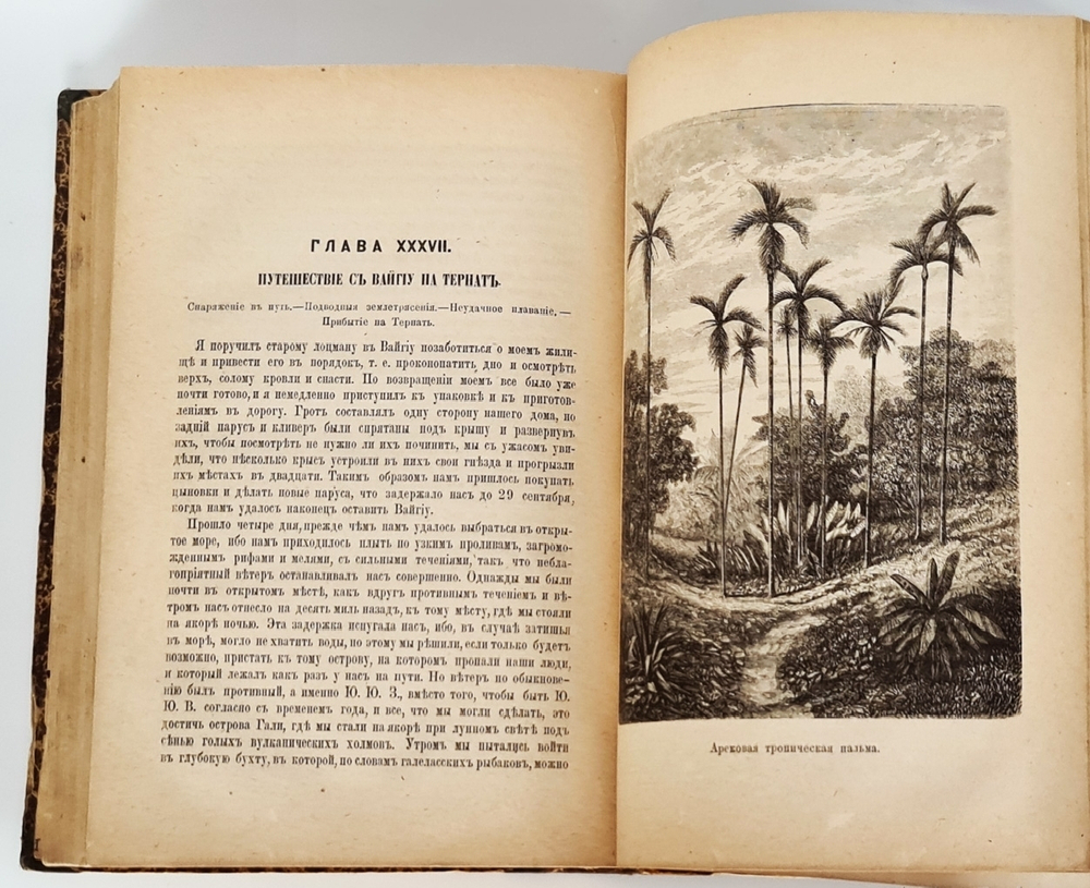 "Малайский архипелаг: Страна оранг-утана и райской птицы". А.Р.Уоллес. 1872 г. - антикварное издание