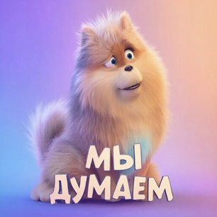 Одежда для хозяина