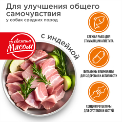 Корм сухой для взрослых собак средних пород, премиум полнорационный комплекс, улучшение общего самочувствия, с индейкой, 12 кг, QUATTRO