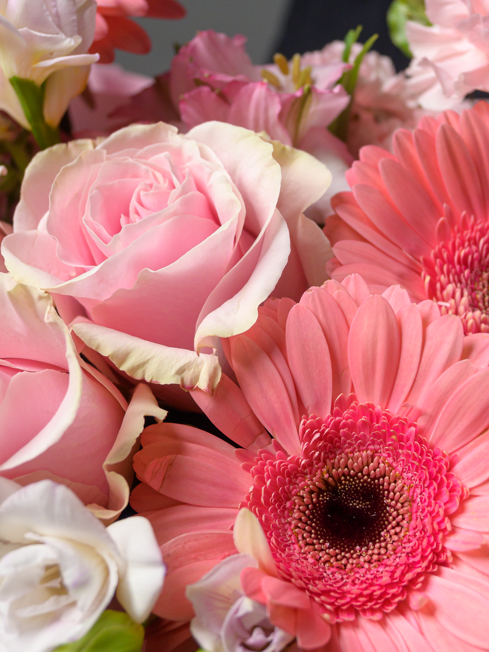 Розовая мечта *