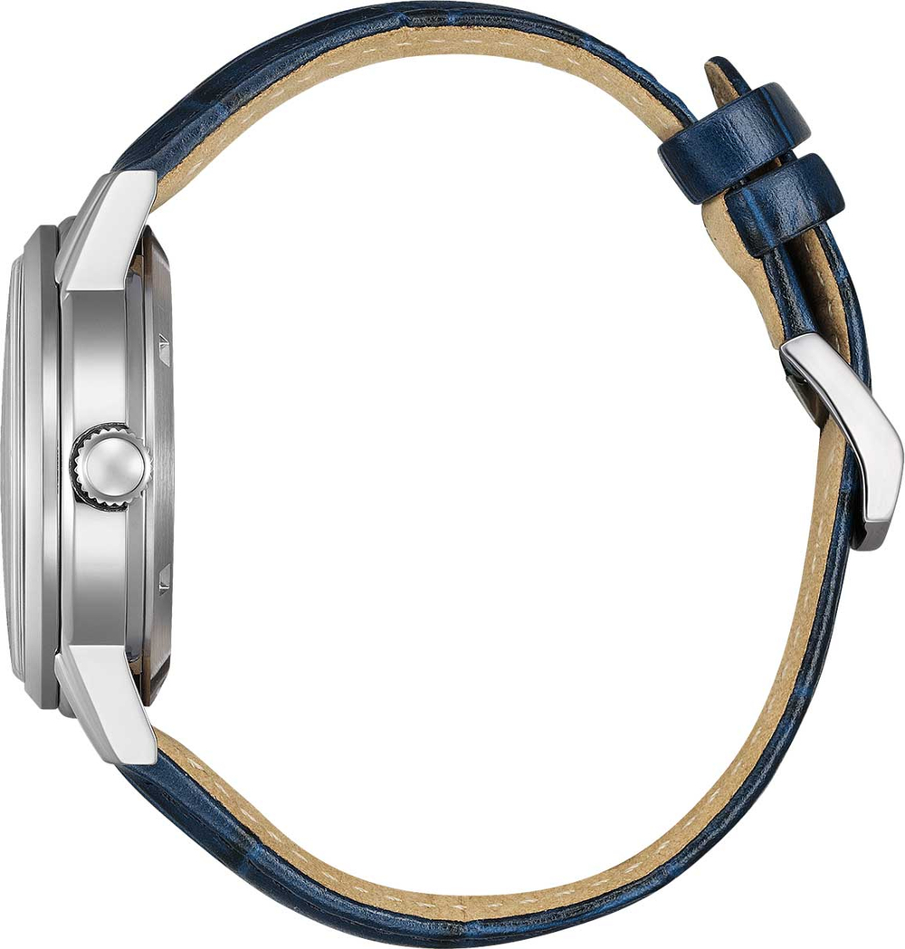 Мужские наручные часы Citizen NJ0210-13L