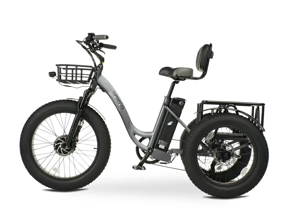 Электровелосипед Медведь Cargo Plus 500