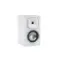 Martin Logan Foundation B1 Satin White