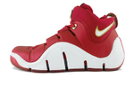 Кроссовки Nike Lebron 4 China