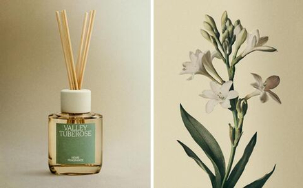 Zara Home VALLEY TUBEROSE REED DIFFUSERS — ароматический диффузор с тростниковыми палочками, Долина Туберозы, 100 мл