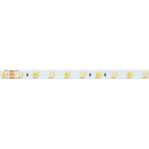 Светодиодная лента Arlight 14,4W/m 60LED/m 5060SMD холодный/теплый белый 5M RT-B60-10mm 24V White-MIX 025213(1)