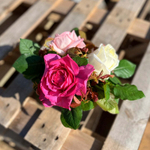 Романтический завтрак — композиция ароматных роз