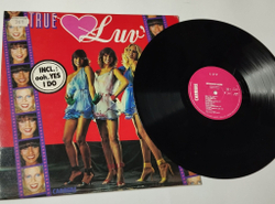 Винтажная виниловая пластинка LP True Luv (France 1979)